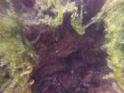 immersioni-estate22 37